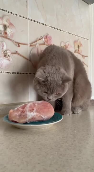 Не может быть