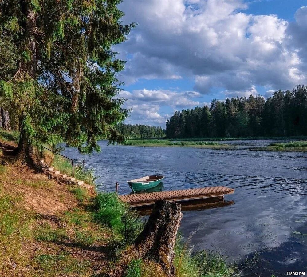 Река Оредеж, Вырица, Ленинградская область