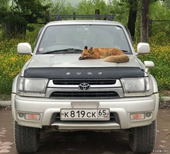 Всё, спать