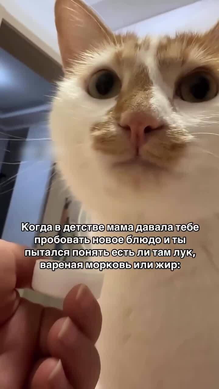 &quot;Дегустатор&quot;