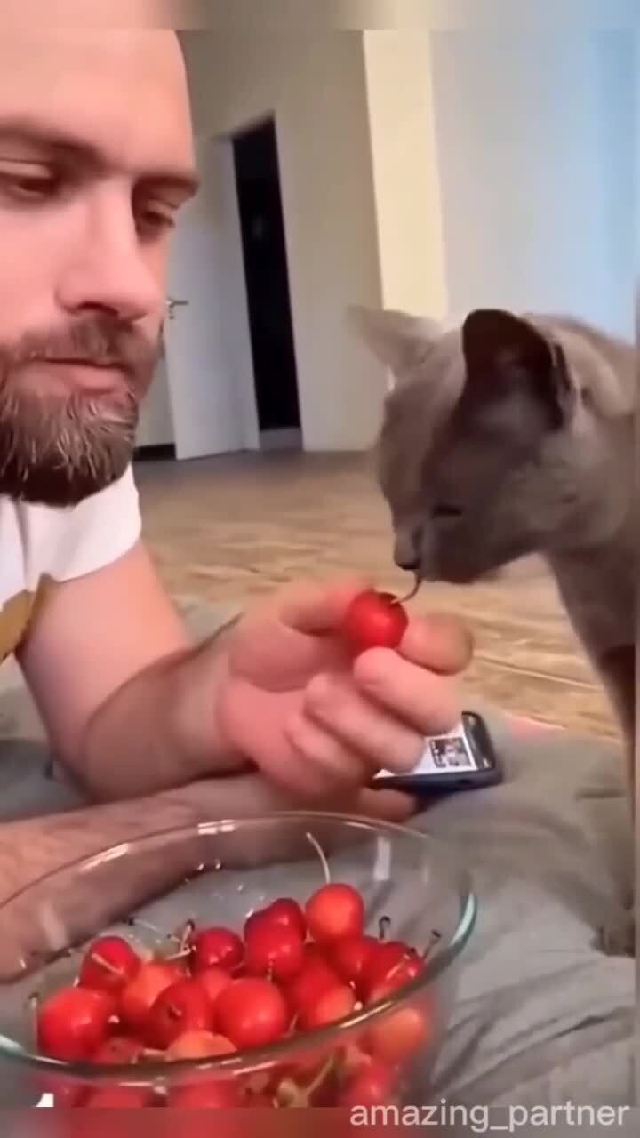 помогуны