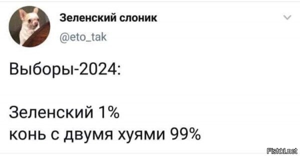 Так вот почему выборы отменили в 404 