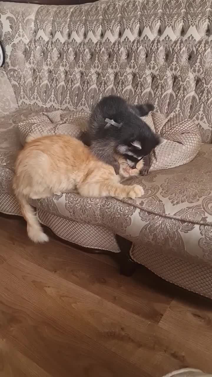 чё сразу бить-то