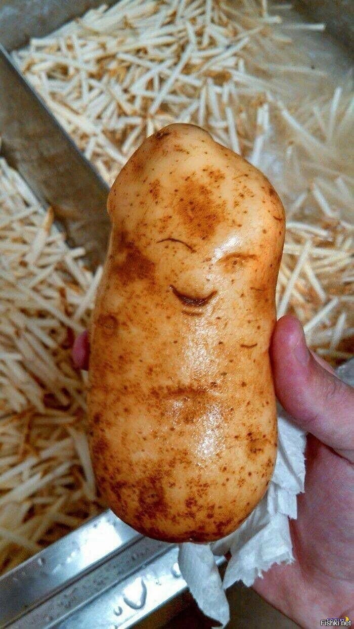 Солянка