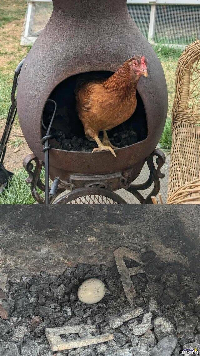Солянка