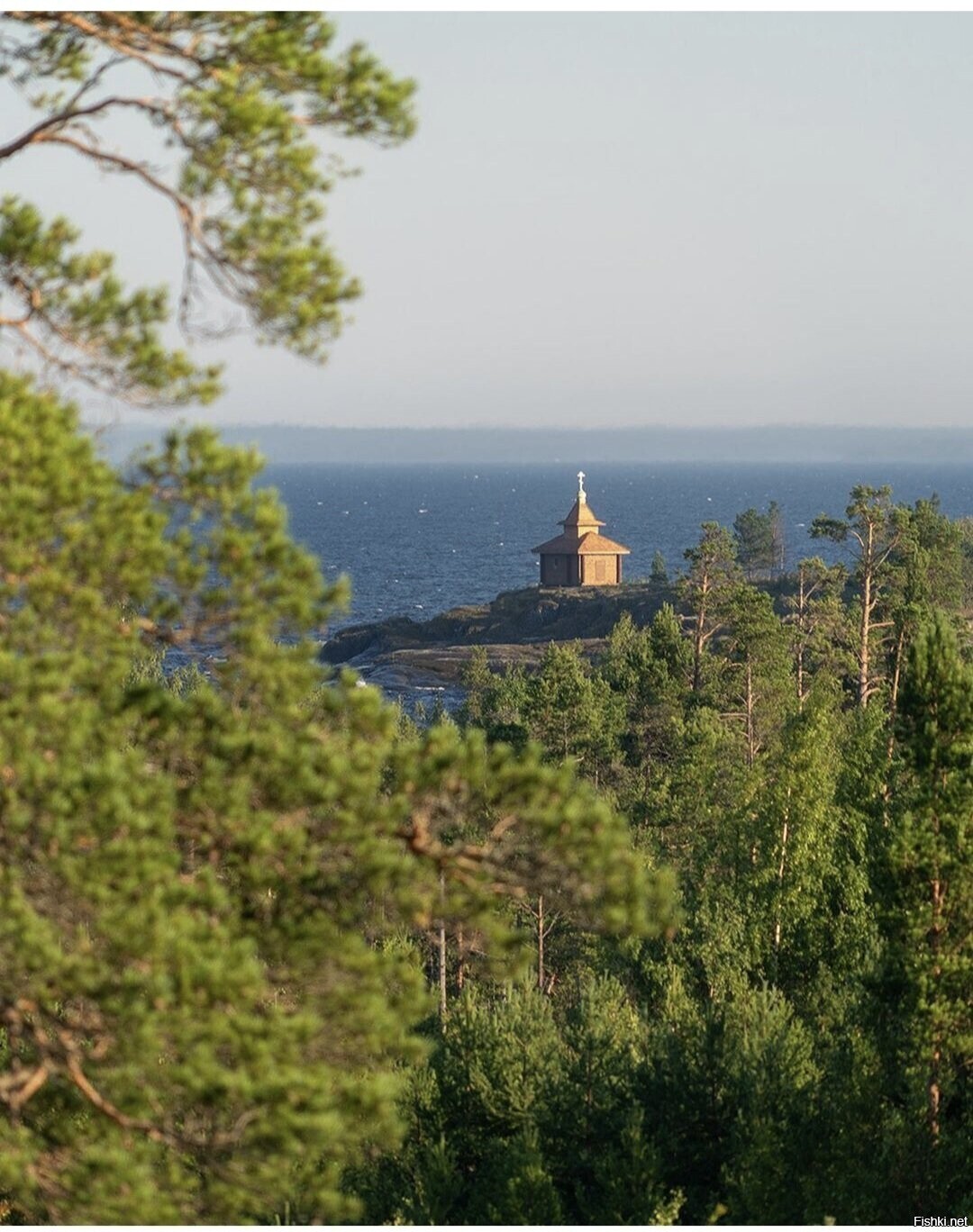 Солянка