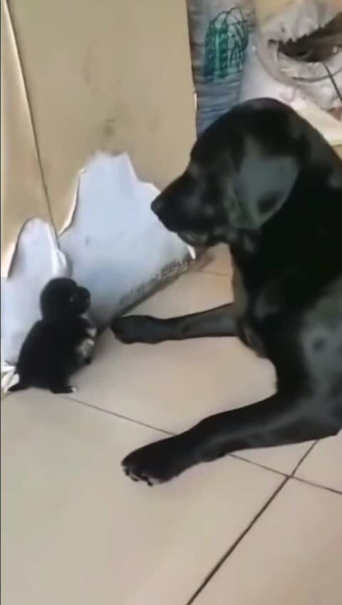 Малыш с характером