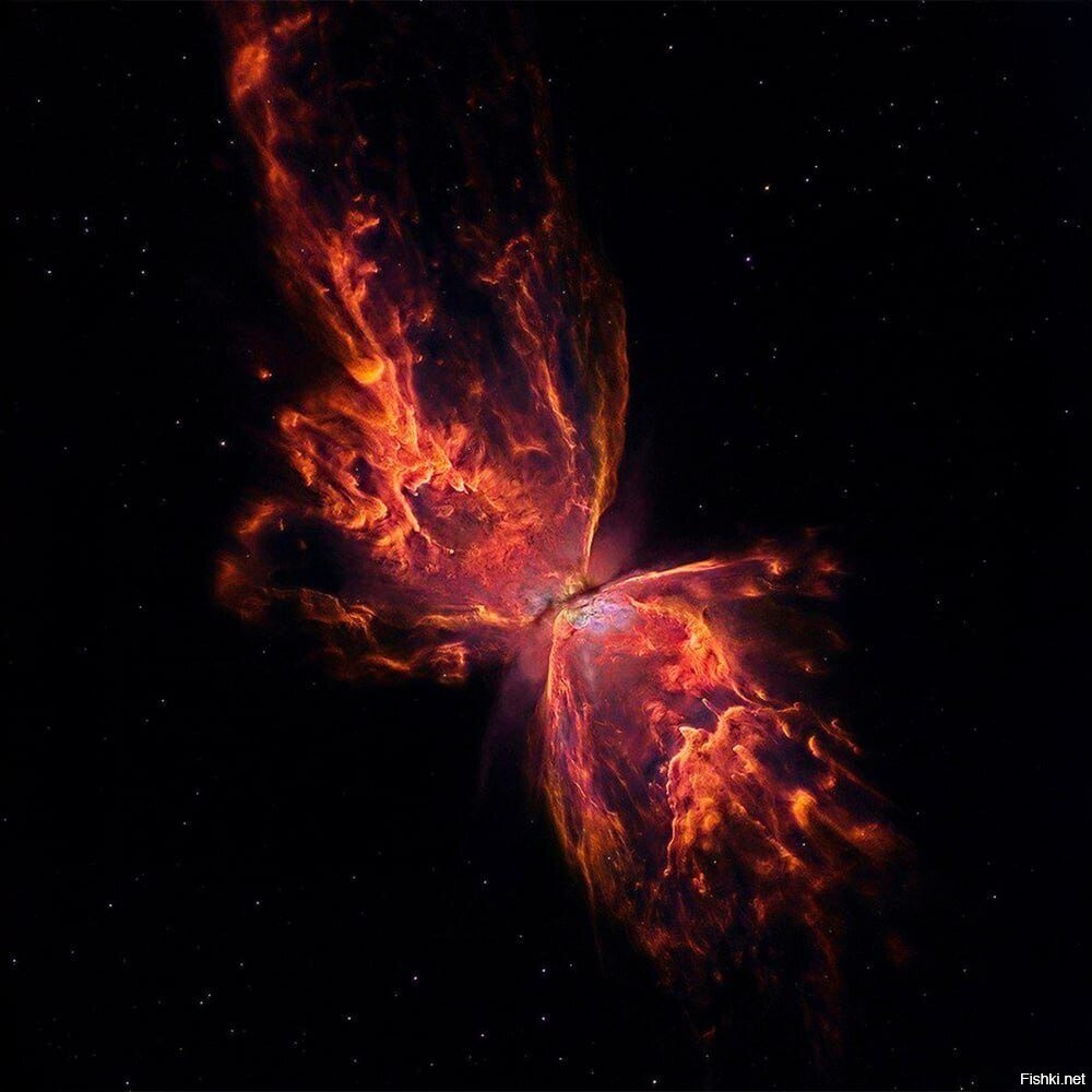 Туманность Бабочка или NGC 6302 в 4000 световых лет от нас