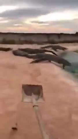 Бывает и так