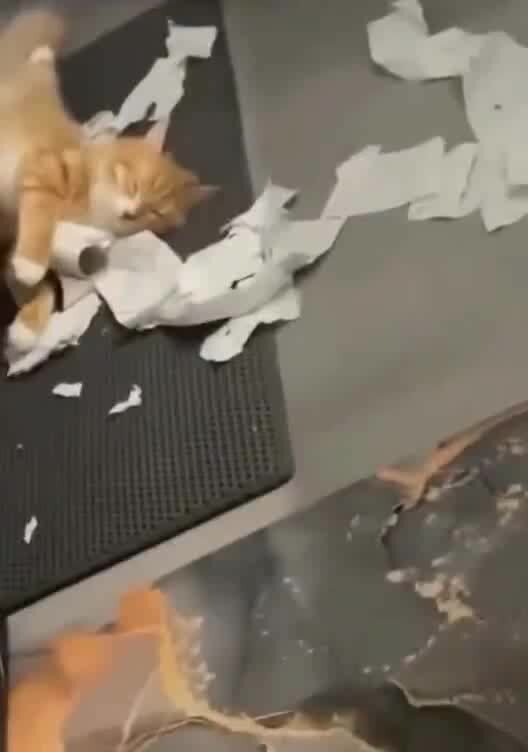 утомился