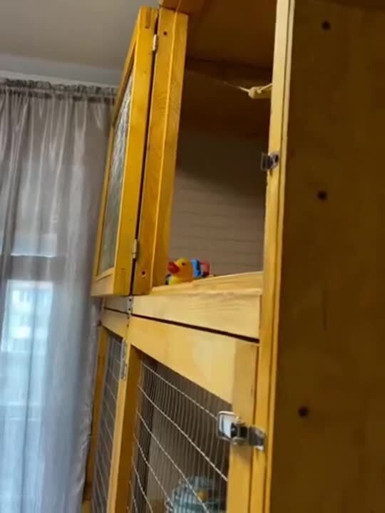 Доброе утро