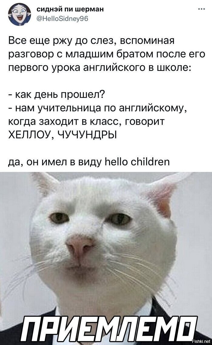 Солянка