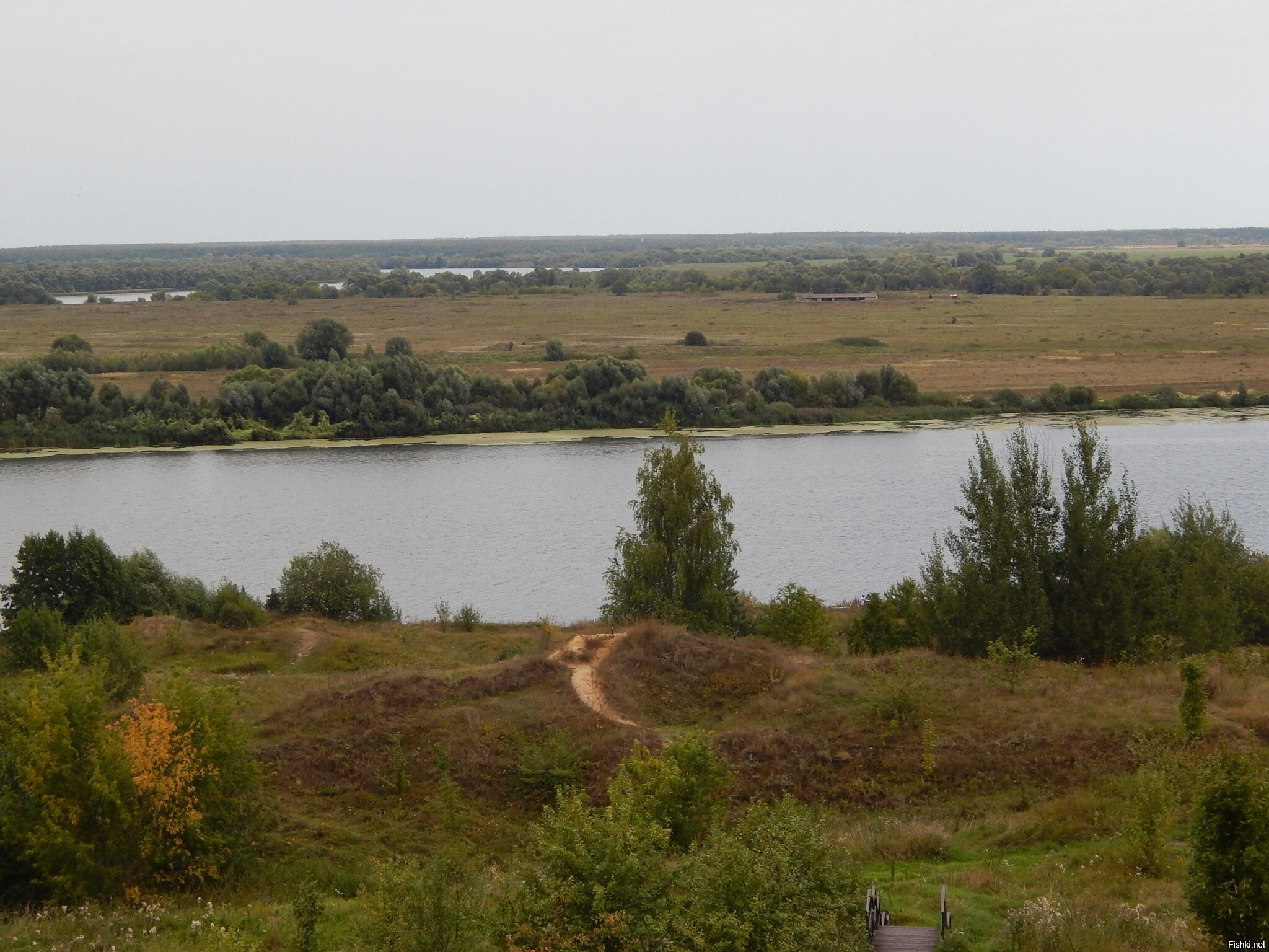 Недалеко жили , заехали в Константиново ( родина Есенина) 