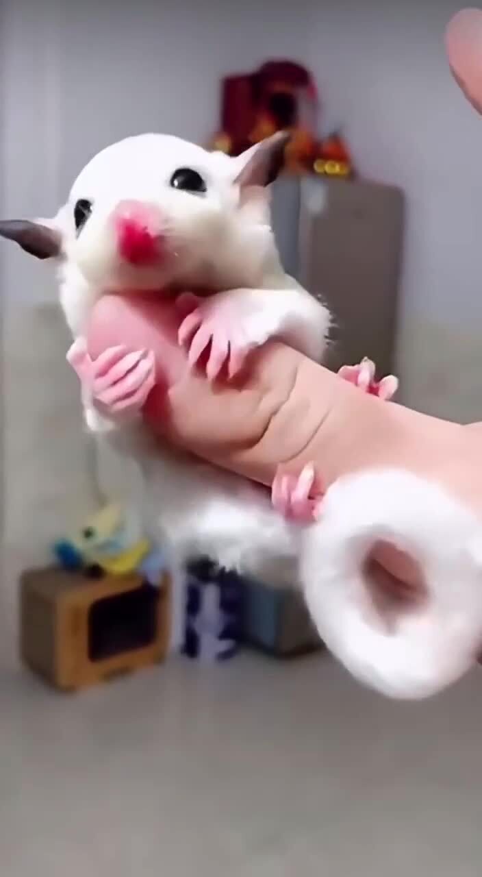 Немного милоты на ночь