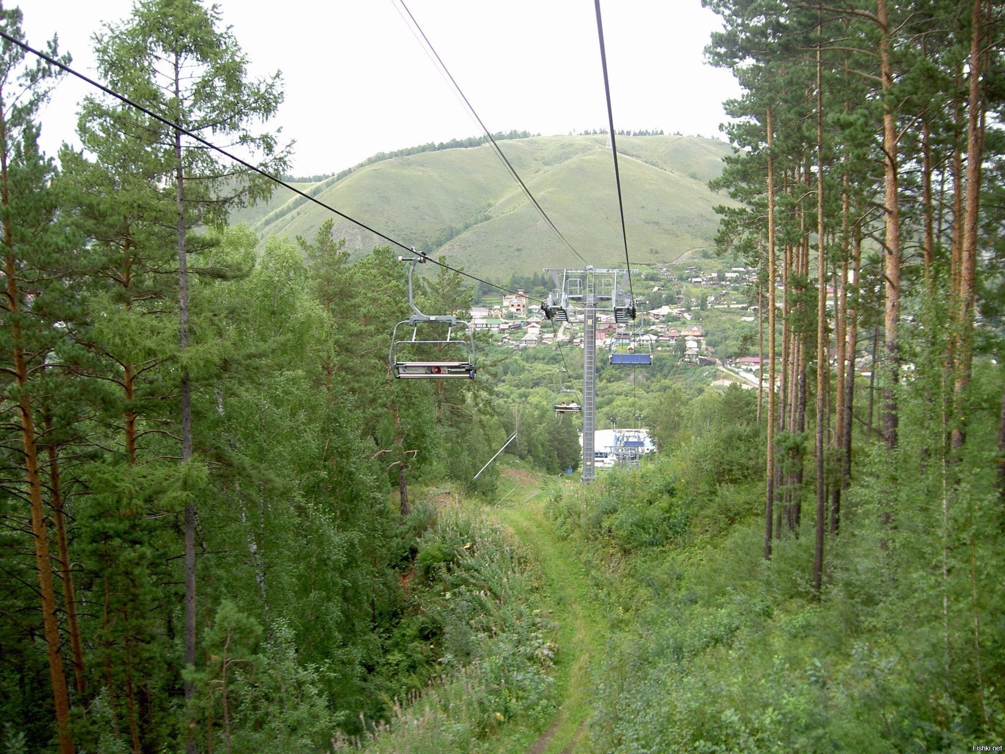 Солянка