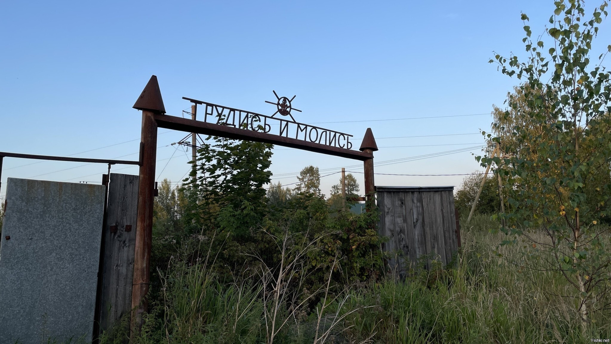 Солянка