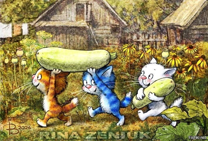 Солянка