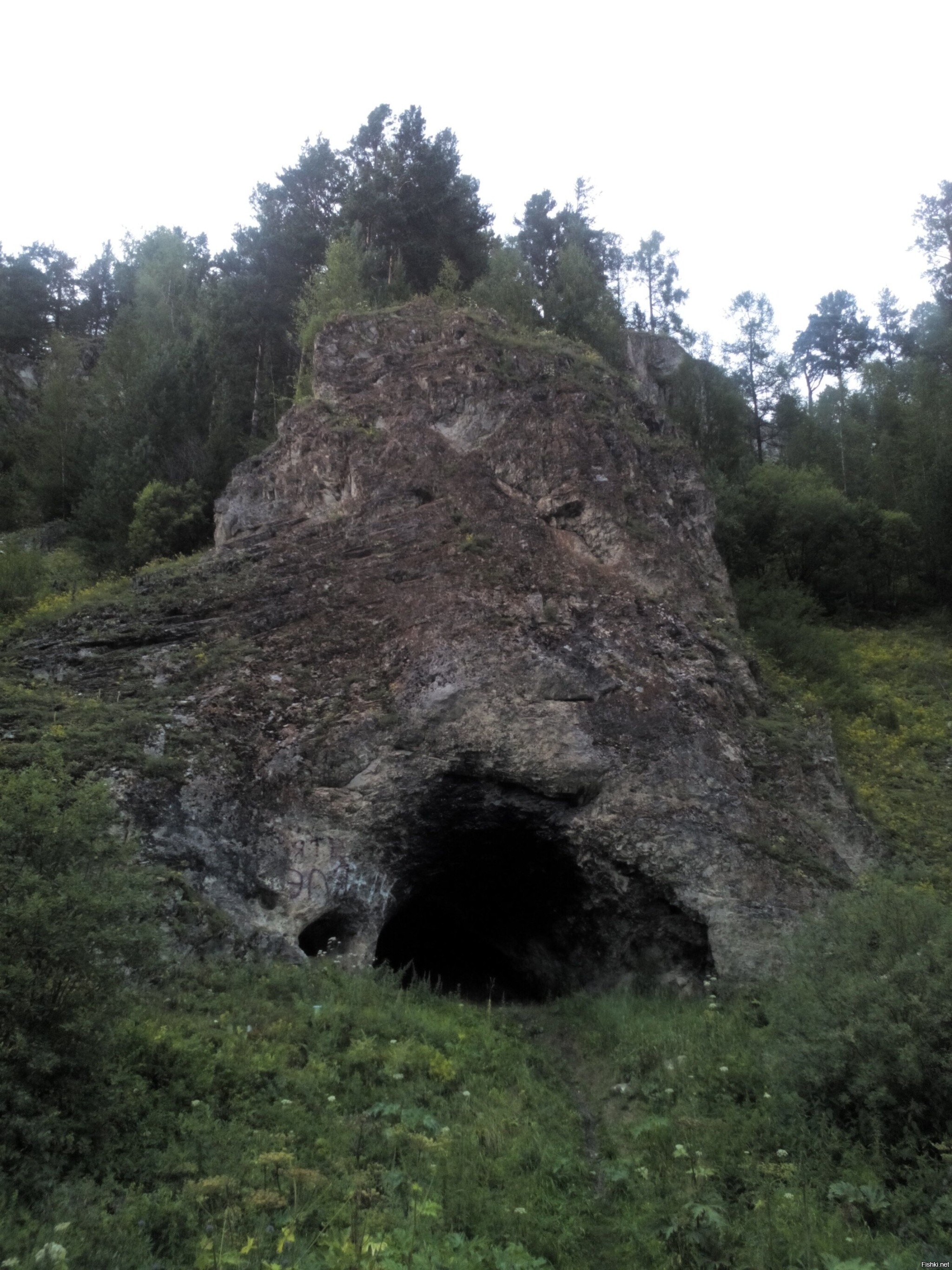 Солянка