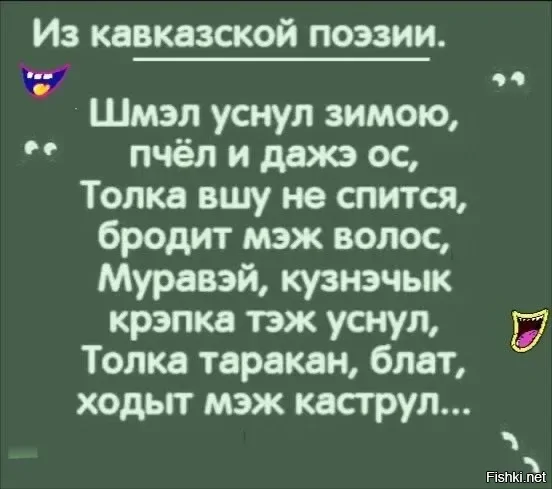 Солянка