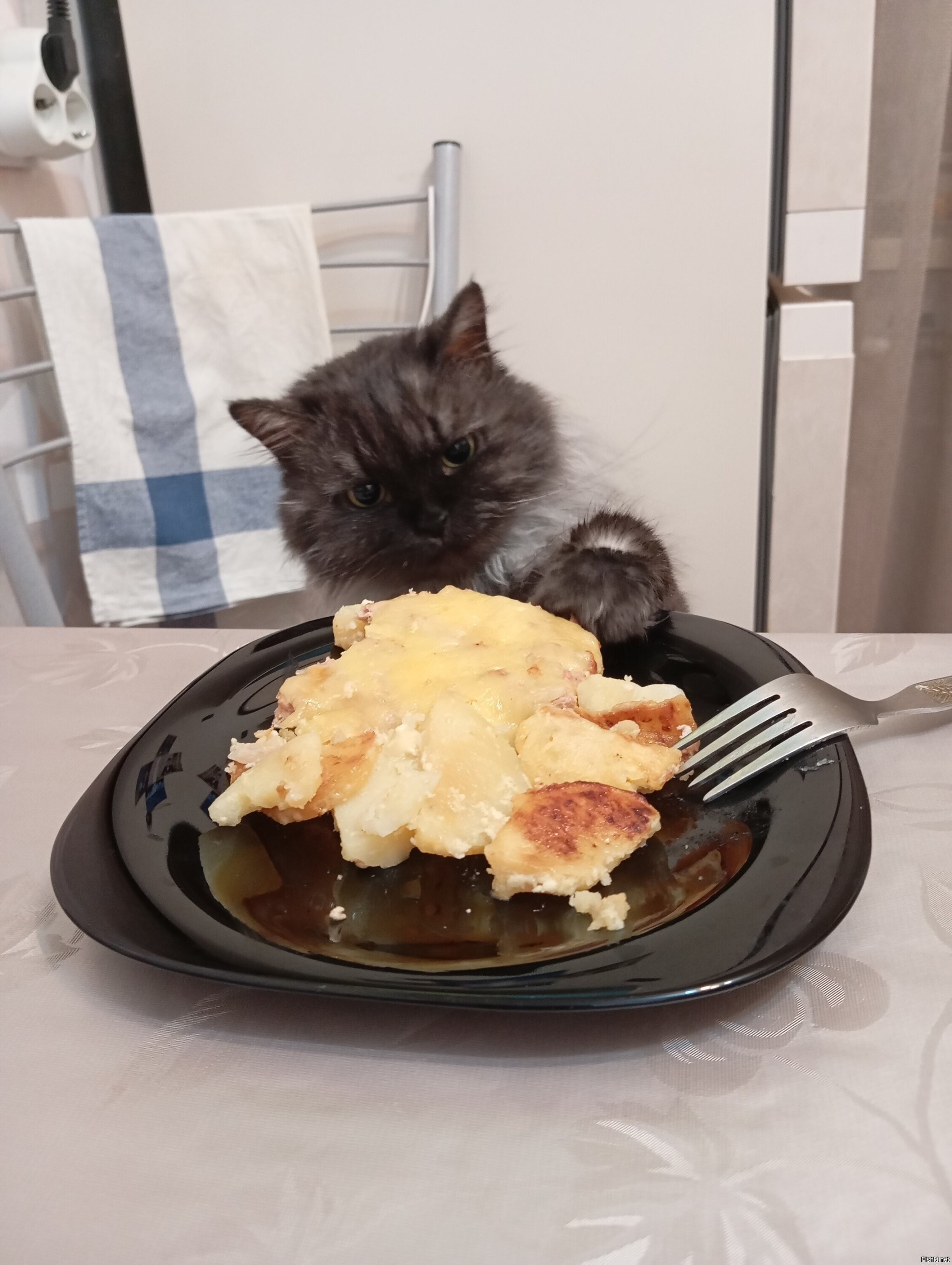 Солянка