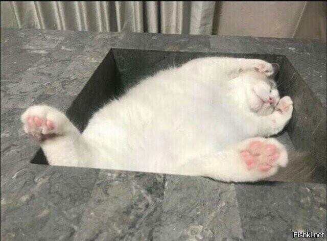 Солянка