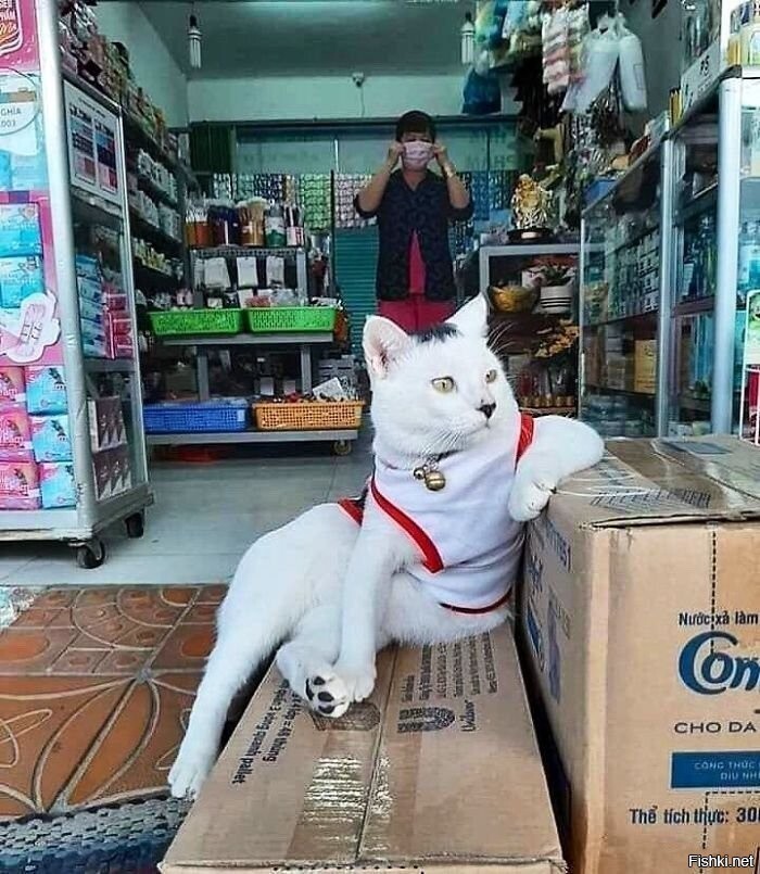 Солянка
