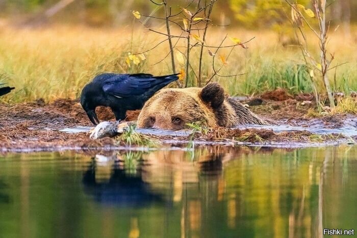 Всем добрейшенького