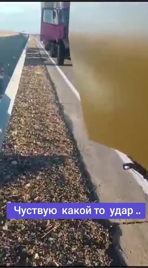 Вот это сюрприз
