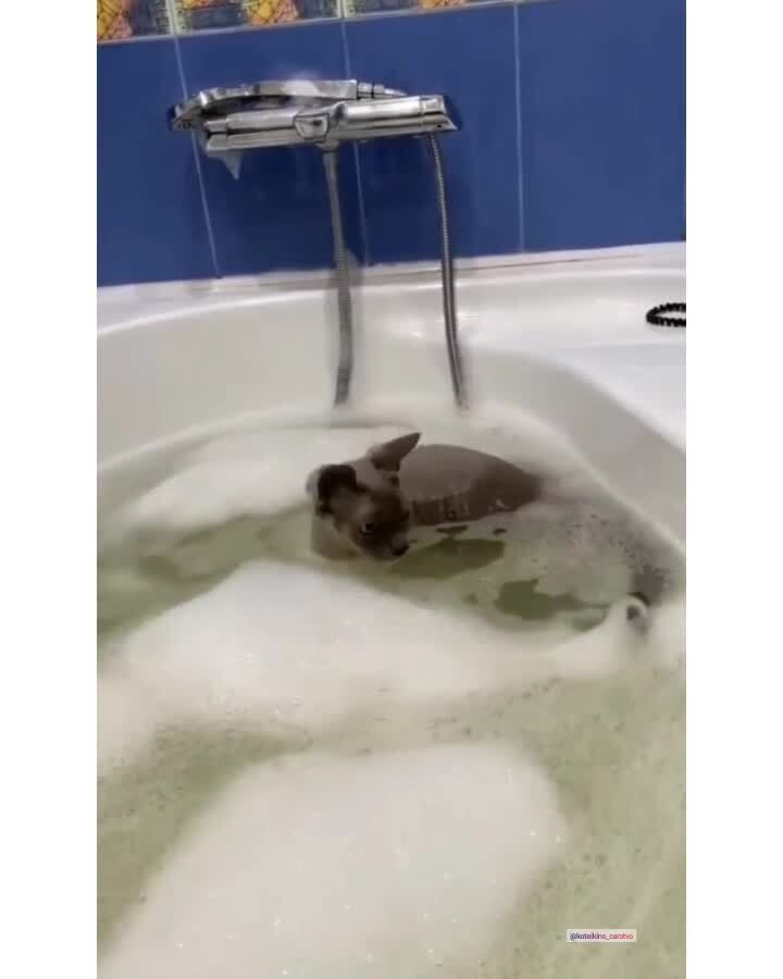 Наблюдение за непонятным)