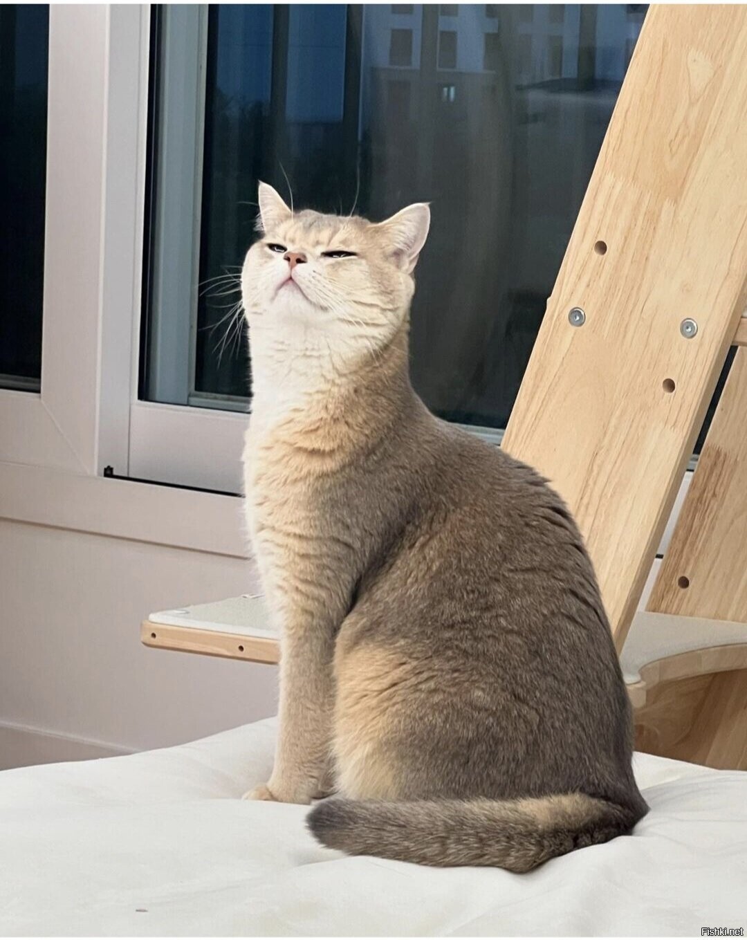 Доброе утро