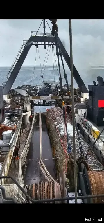 рыбацкая удача