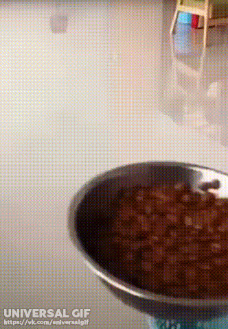 Наказать не удалось