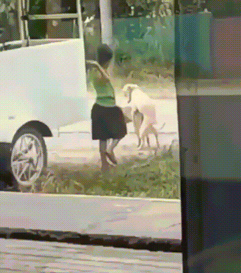 Ибо нехрен