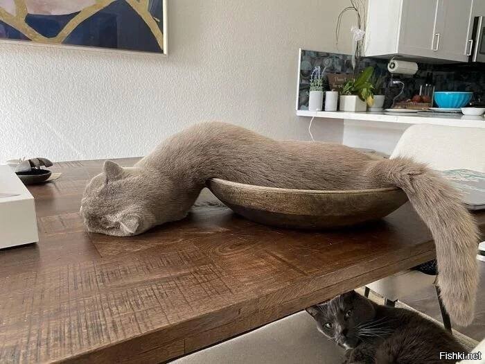 Солянка