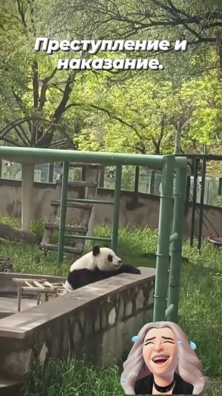 -в топку