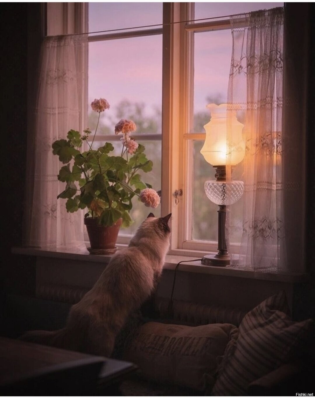 Солянка