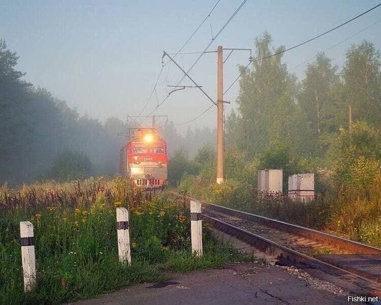 Солянка