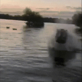 - Гребибля быстрее