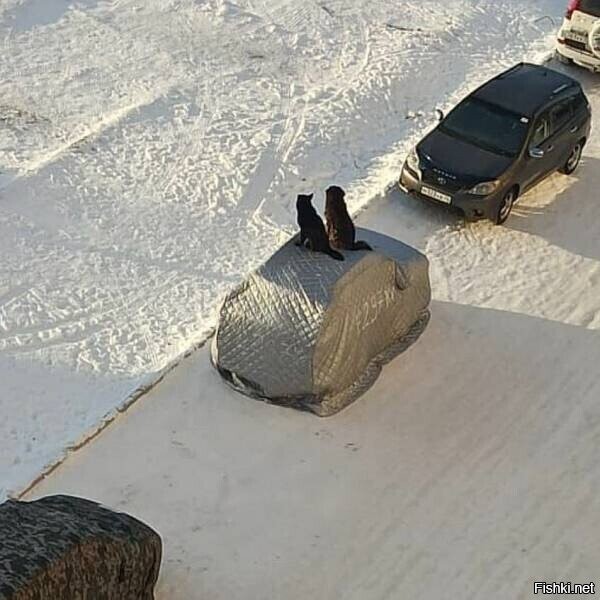 Солянка