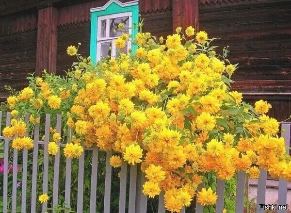 С добрым утром