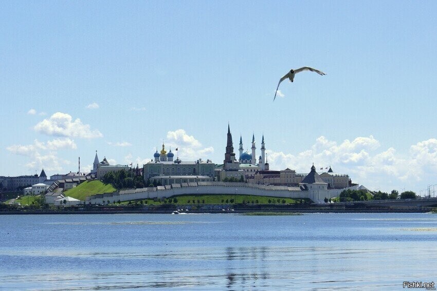 Солянка