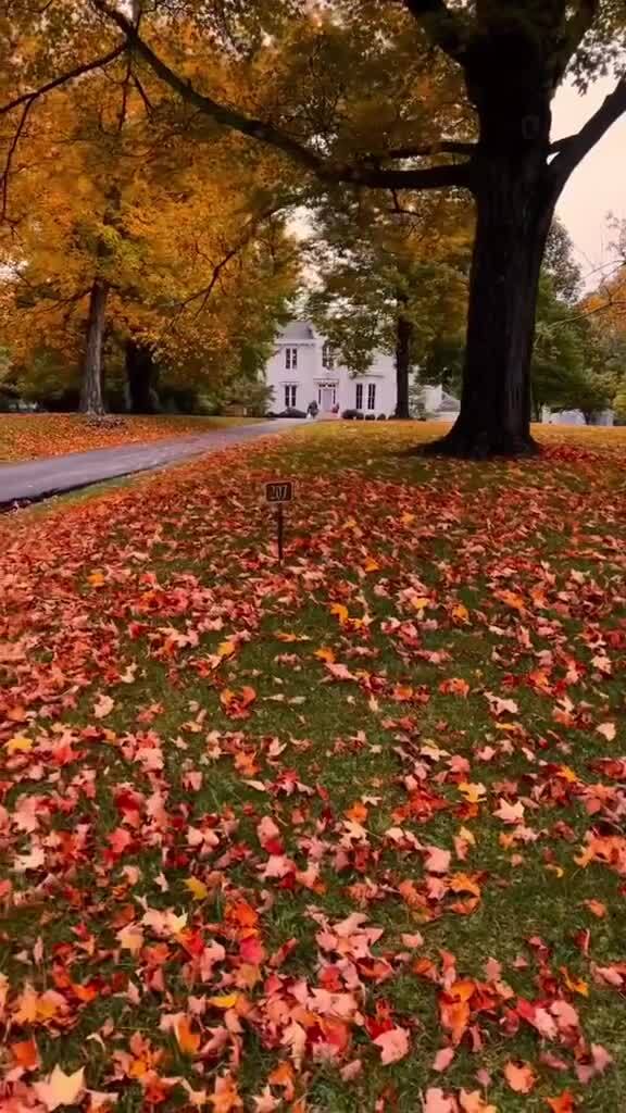Золотая осень