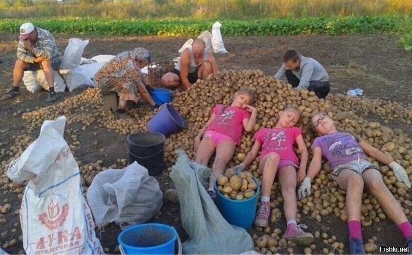 Поехали на дачу