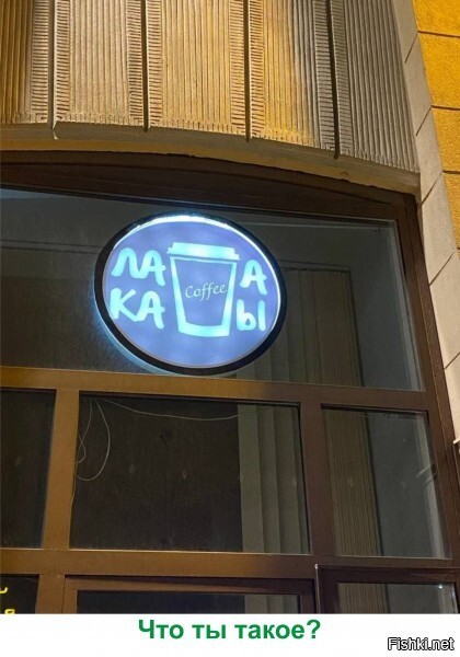 котик не помог