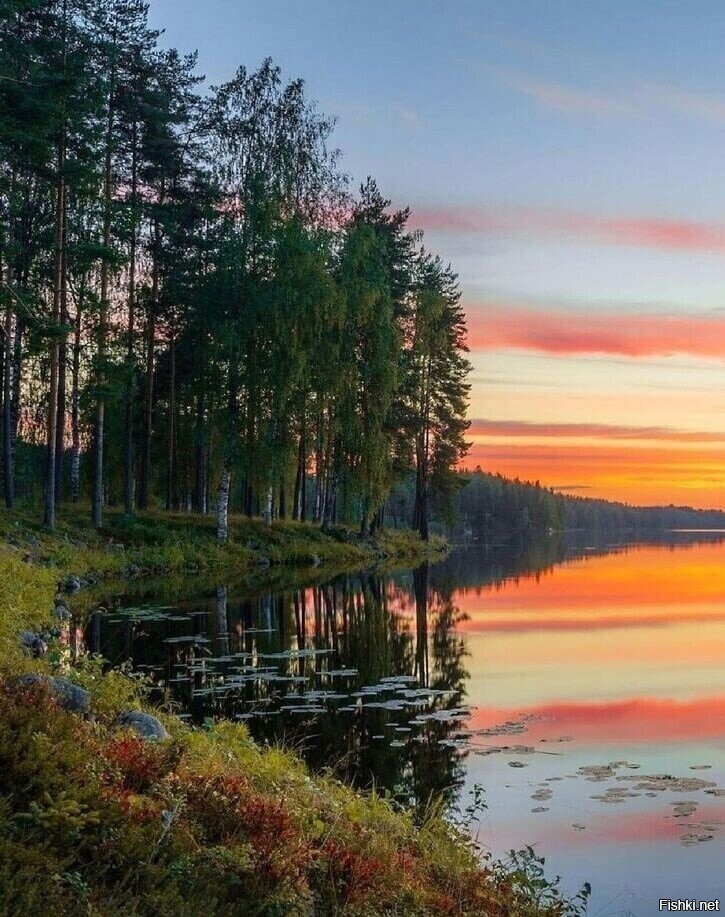 Солянка