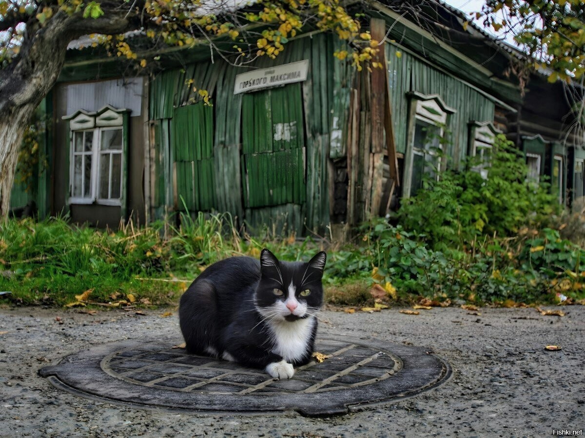 Солянка