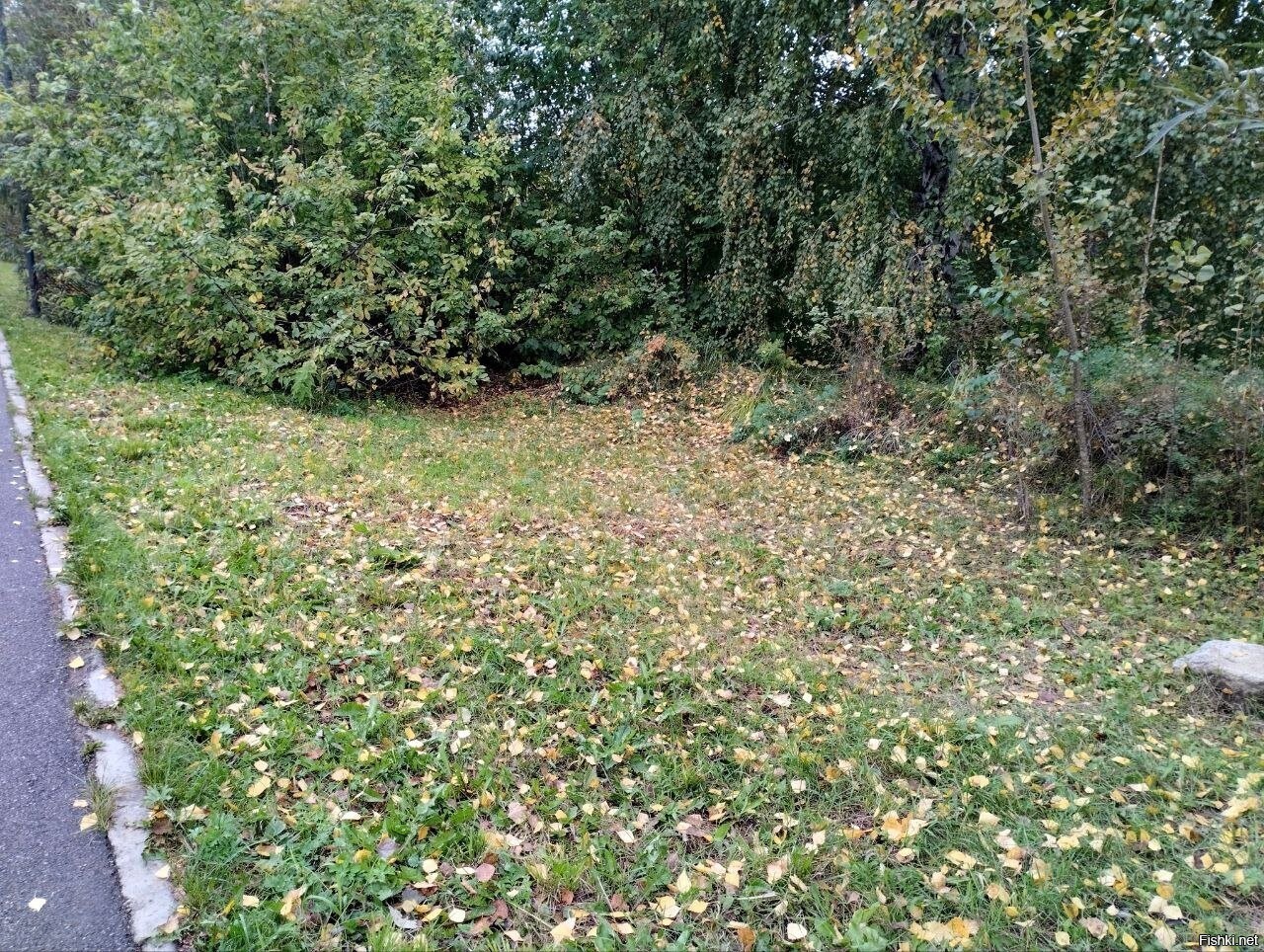 Красноярск, утро