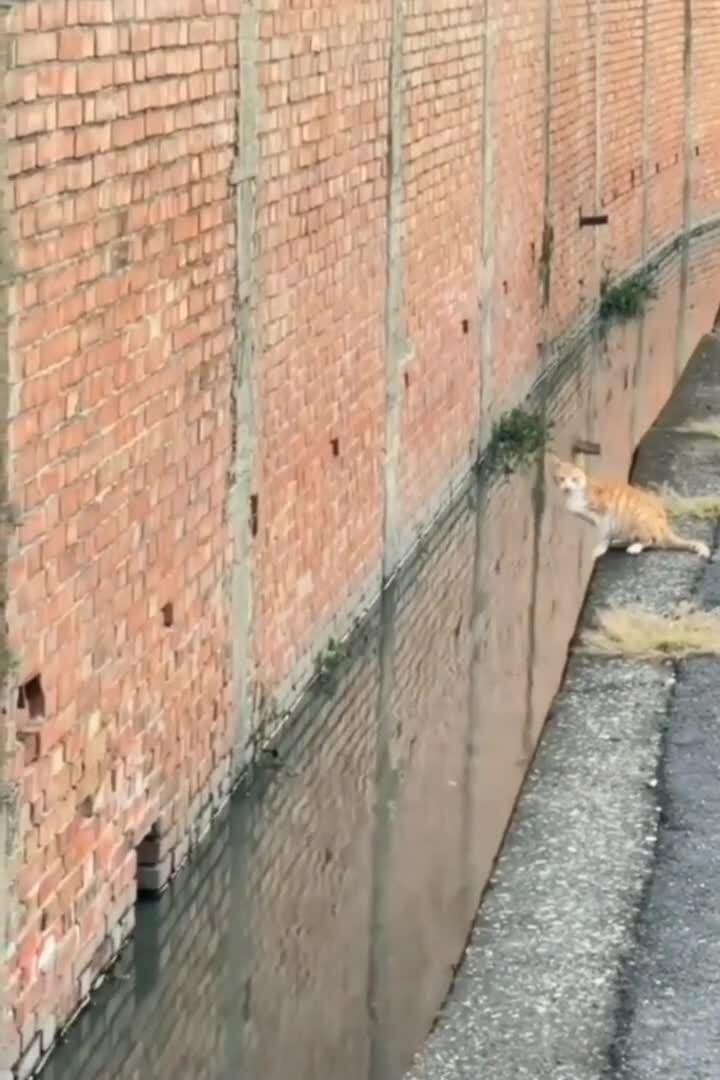снайпер