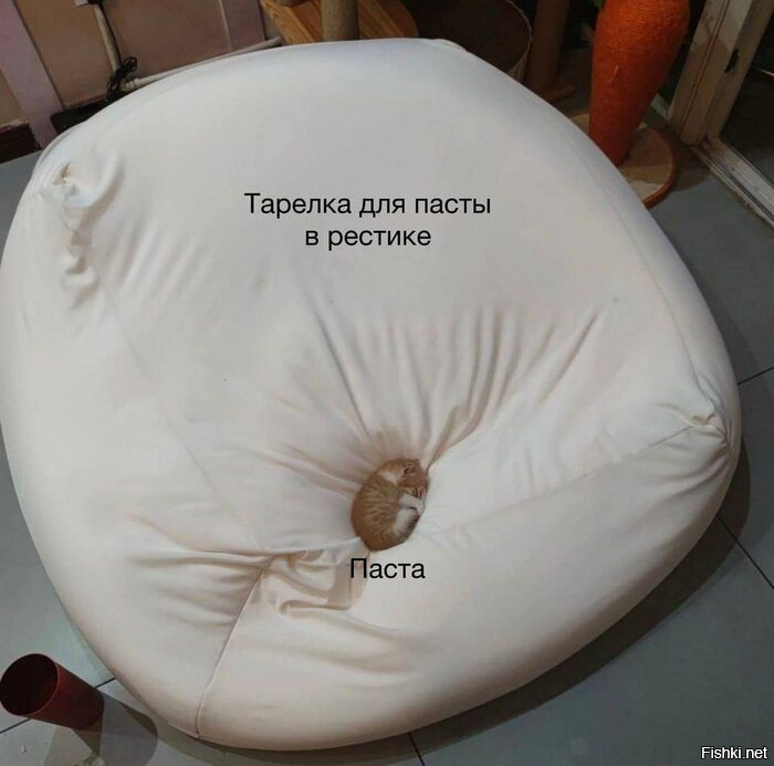 Комменты с дефлопе приветствуются 