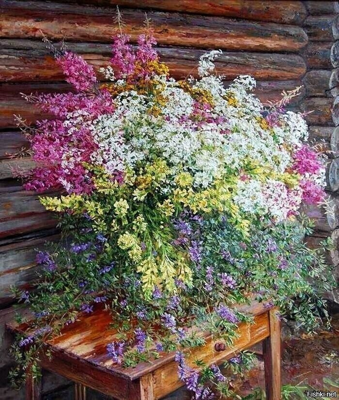 Солянка